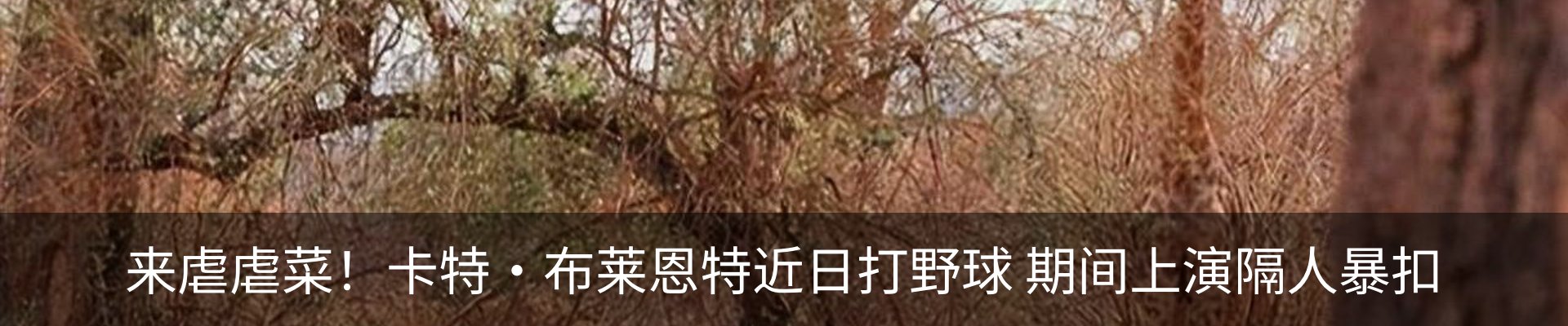 资讯动态